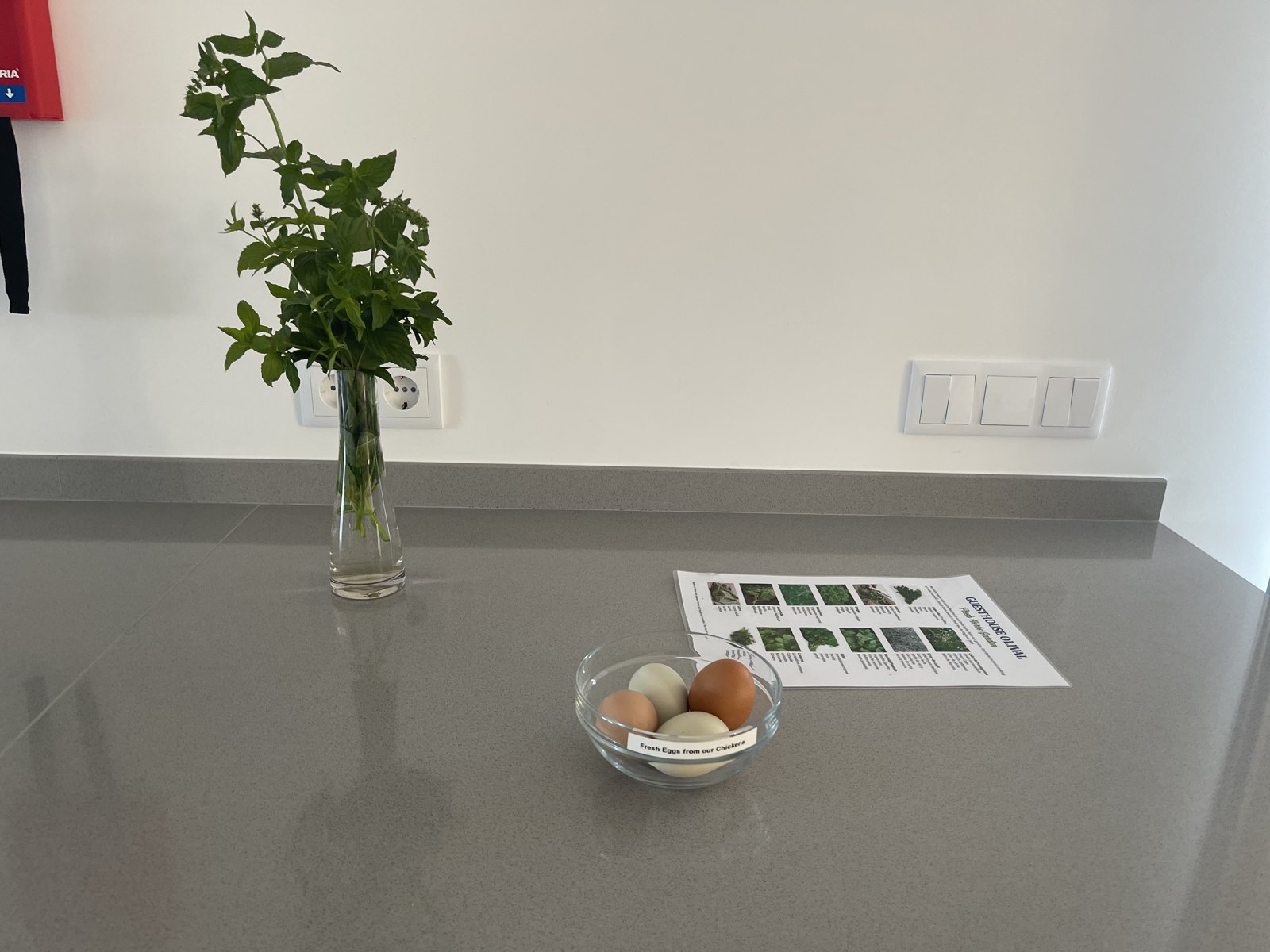 Fresh flowers in a vase and a bowl of local eggs on the kitchen counter at Guesthouse Olival